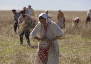 Сергей Урсуляк заканчивает работу над новой киноверсией "Тихого Дона"